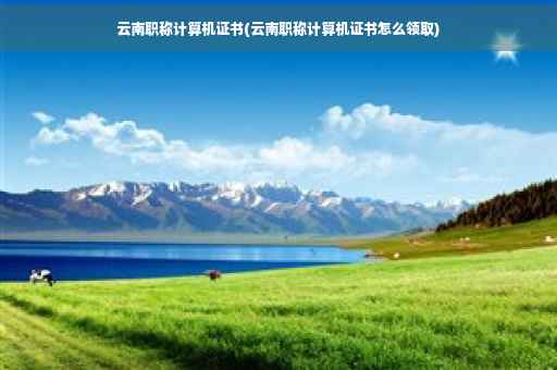 云南职称计算机证书(云南职称计算机证书怎么领取)