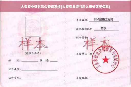 大专专业证书怎么查询系统(大专专业证书怎么查询系统信息)
