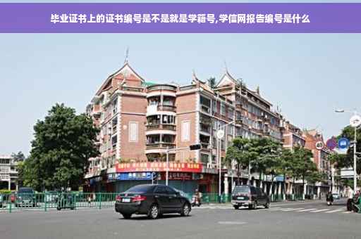 毕业证书上的证书编号是不是就是学籍号,学信网报告编号是什么