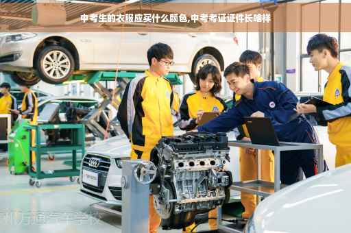 中考生的衣服应买什么颜色,中考考证证件长啥样