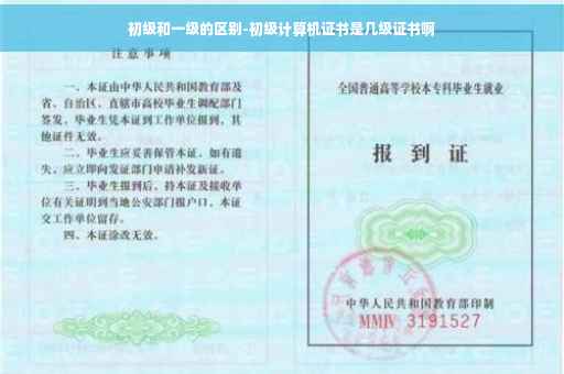 初级和一级的区别-初级计算机证书是几级证书啊