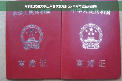 专科批次进大学出来的文凭是什么-大专毕业证有用嘛