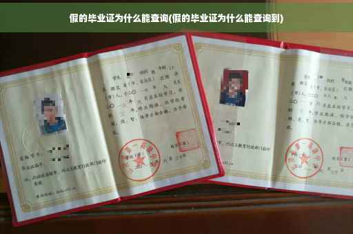 假的毕业证为什么能查询(假的毕业证为什么能查询到)