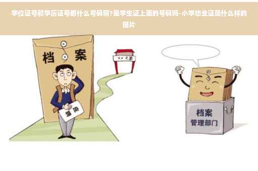 学位证号和学历证号都什么号码啊?是学生证上面的号码吗-小学毕业证是什么样的图片
