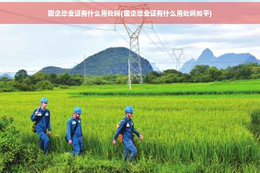 国企毕业证有什么用处吗(国企毕业证有什么用处吗知乎)
