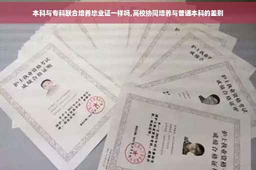 本科与专科联合培养毕业证一样吗,高校协同培养与普通本科的差别