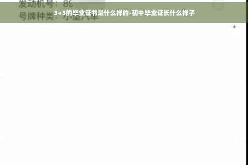 3+3的毕业证书是什么样的-初中毕业证长什么样子