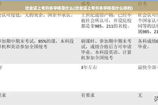 毕业证上专升本字样是什么(毕业证上专升本字样是什么样的)