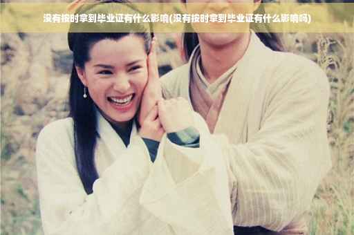 没有按时拿到毕业证有什么影响(没有按时拿到毕业证有什么影响吗)