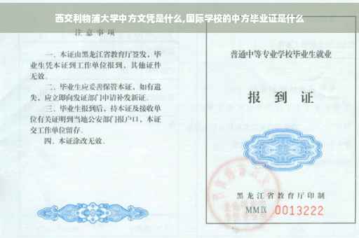 西交利物浦大学中方文凭是什么,国际学校的中方毕业证是什么
