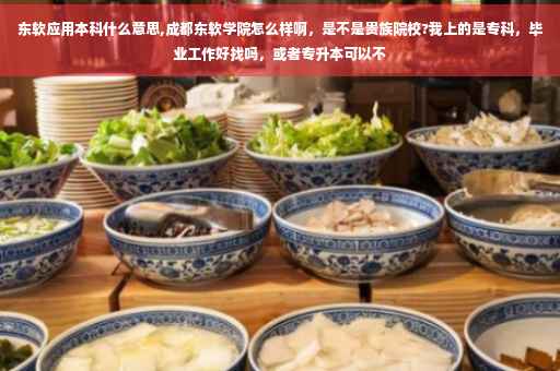 东软应用本科什么意思,成都东软学院怎么样啊，是不是贵族院校?我上的是专科，毕业工作好找吗，或者专升本可以不