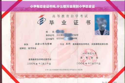 小学有毕业证书吗,什么情况会用到小学毕业证