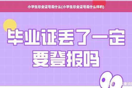 小学生毕业证号是什么(小学生毕业证号是什么样的)