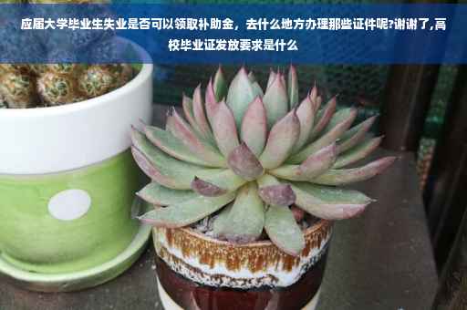 应届大学毕业生失业是否可以领取补助金，去什么地方办理那些证件呢?谢谢了,高校毕业证发放要求是什么