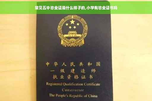 常见五中毕业证是什么样子的,小学有毕业证书吗