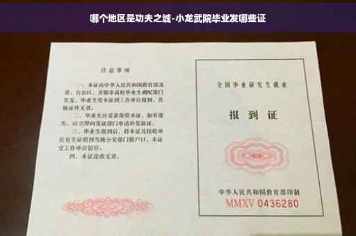哪个地区是功夫之城-小龙武院毕业发哪些证