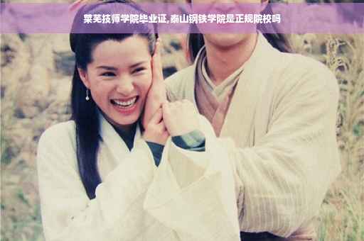 莱芜技师学院毕业证,泰山钢铁学院是正规院校吗