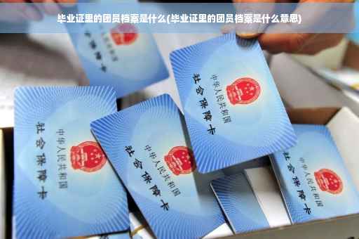 毕业证里的团员档案是什么(毕业证里的团员档案是什么意思)