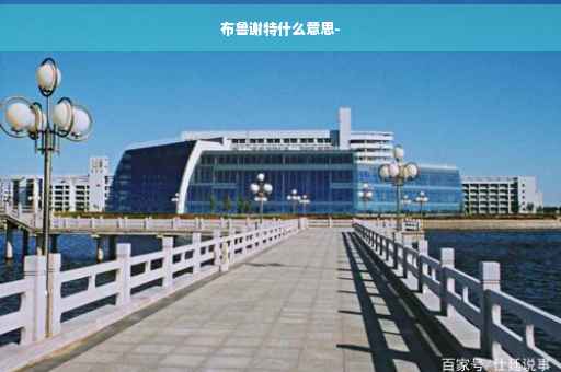 布鲁谢特什么意思-
