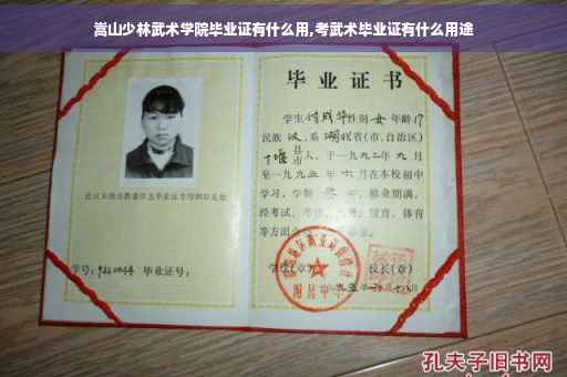 嵩山少林武术学院毕业证有什么用,考武术毕业证有什么用途