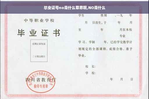 毕业证号no是什么意思啊,NO是什么