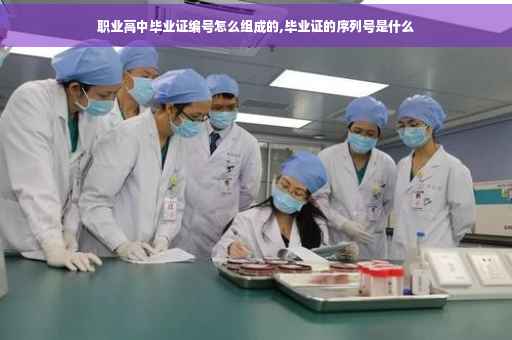 职业高中毕业证编号怎么组成的,毕业证的序列号是什么