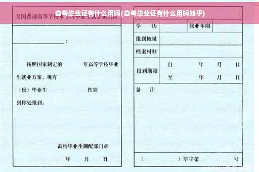 自考毕业证有什么用吗(自考毕业证有什么用吗知乎)