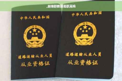 ,蚌埠职教园是职高吗