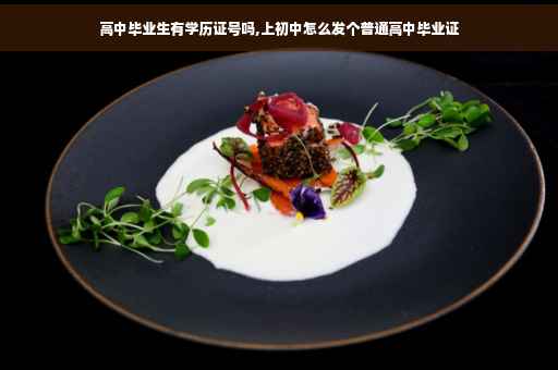 高中毕业生有学历证号吗,上初中怎么发个普通高中毕业证