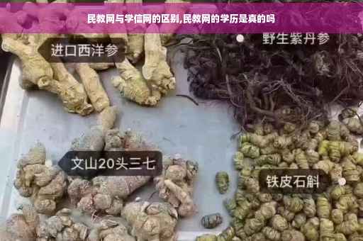 民教网与学信网的区别,民教网的学历是真的吗