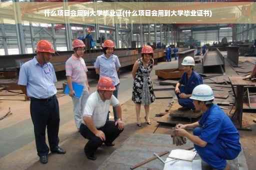 什么项目会用到大学毕业证(什么项目会用到大学毕业证书)