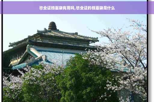 毕业证档案袋有用吗,毕业证的档案袋是什么