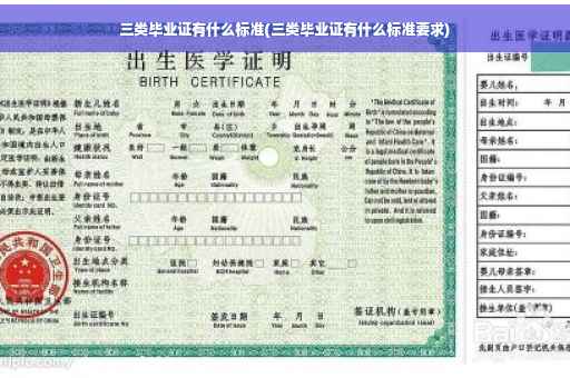 三类毕业证有什么标准(三类毕业证有什么标准要求)