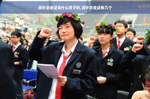 高中毕业证是什么样子的,高中毕业证有几个