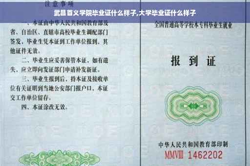 武昌首义学院毕业证什么样子,大学毕业证什么样子