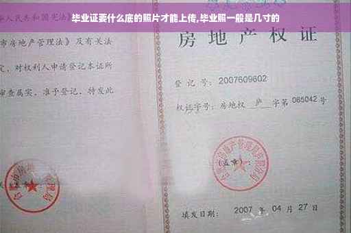 毕业证要什么底的照片才能上传,毕业照一般是几寸的