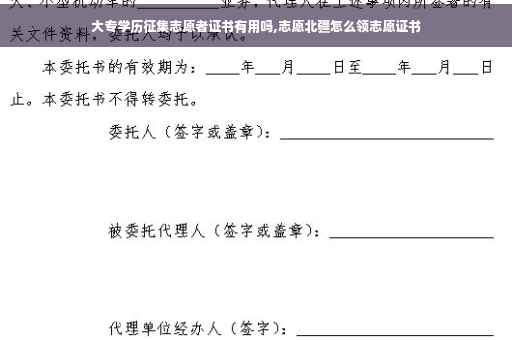 大专学历征集志愿者证书有用吗,志愿北疆怎么领志愿证书