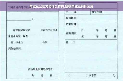 毕业证公信力是什么样的,技校毕业证有什么用