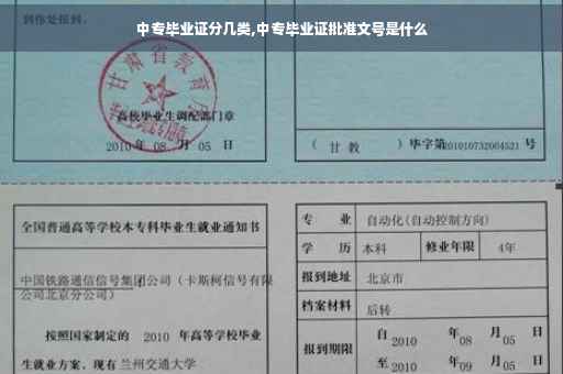 中专毕业证分几类,中专毕业证批准文号是什么