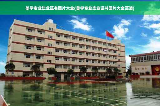 美学专业毕业证书图片大全(美学专业毕业证书图片大全高清)