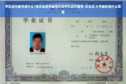 学历证书编号是什么?是毕业证书编号还是学位证书编号-毕业证 大学编码是什么意思
