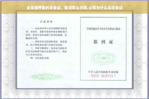 企业要押我的毕业证，我该怎么办啊,公司为什么压毕业证