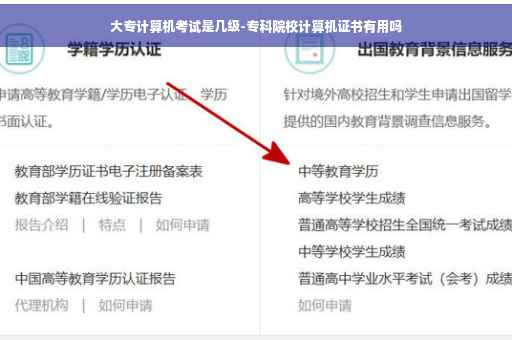 大专计算机考试是几级-专科院校计算机证书有用吗