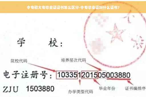 中专和大专毕业证证书怎么区分-中专毕业证叫什么证书?