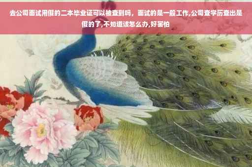 去公司面试用假的二本毕业证可以被查到吗，面试的是一般工作,公司查学历查出是假的了,不知道该怎么办,好害怕
