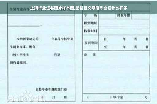 上班毕业证书图片样本图,武昌首义学院毕业证什么样子