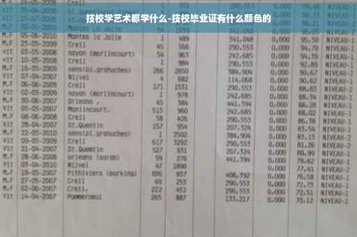 技校学艺术都学什么-技校毕业证有什么颜色的