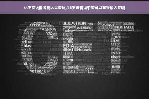小学文凭能考成人大专吗,18岁没有读中专可以直接读大专嘛