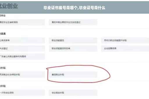 毕业证书编号是哪个,毕业证号是什么