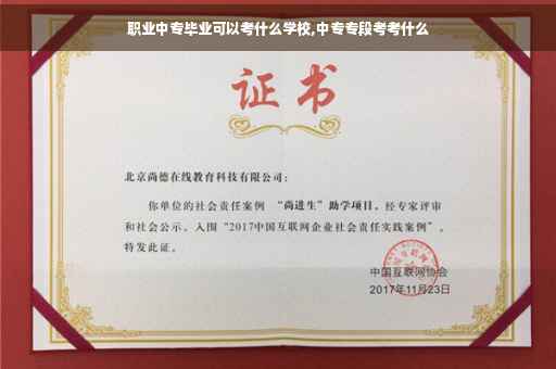 职业中专毕业可以考什么学校,中专专段考考什么